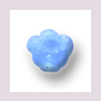 Blume