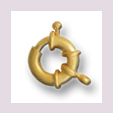 Karabiner mit Ring