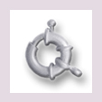Karabiner mit Ring