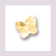 Small Butterfly with hole