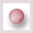 Perle